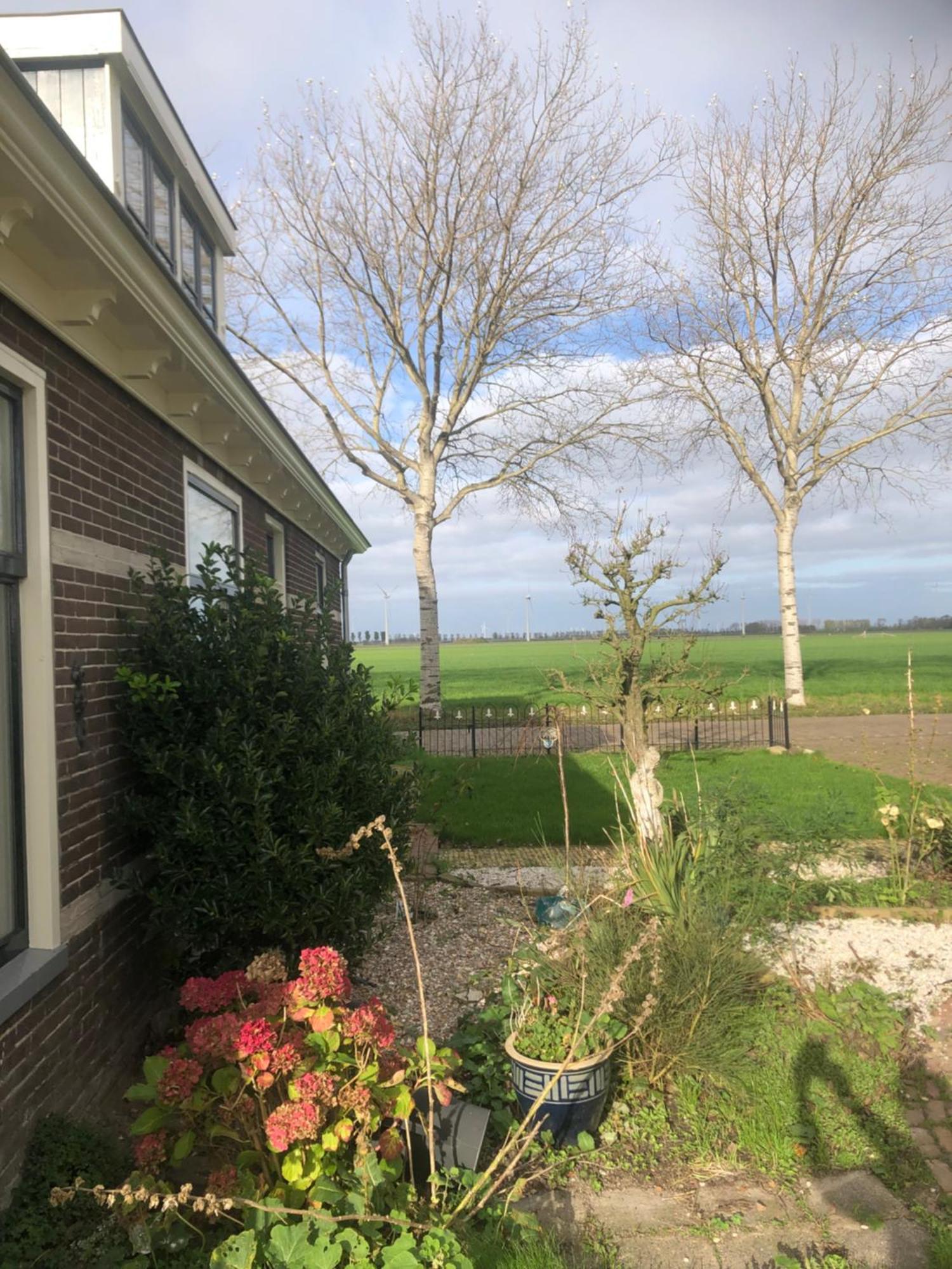 Appartement In Schuur Twisk Kültér fotó